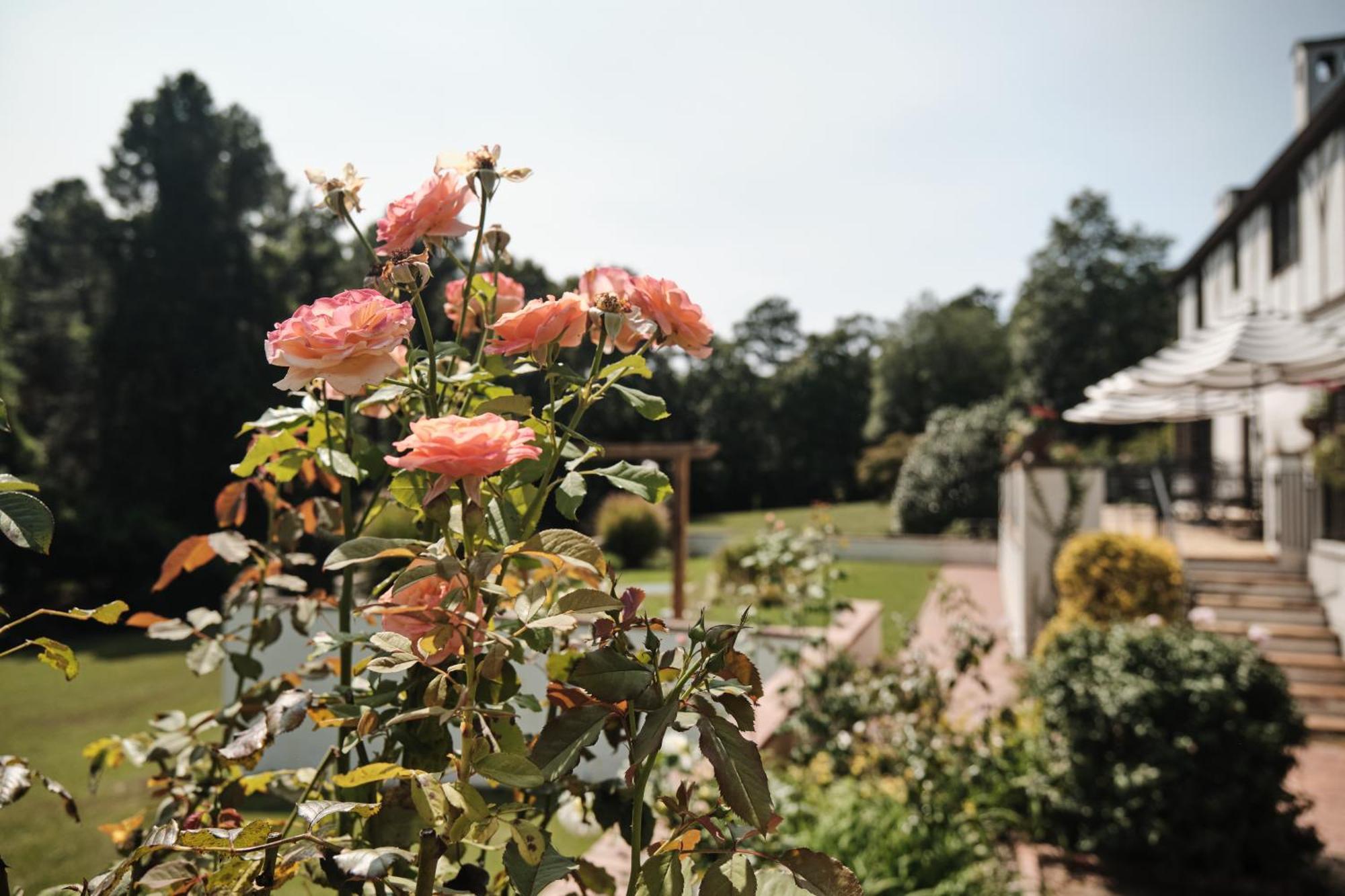 Bed and Breakfast Duncraig Manor Southern Pines Zewnętrze zdjęcie